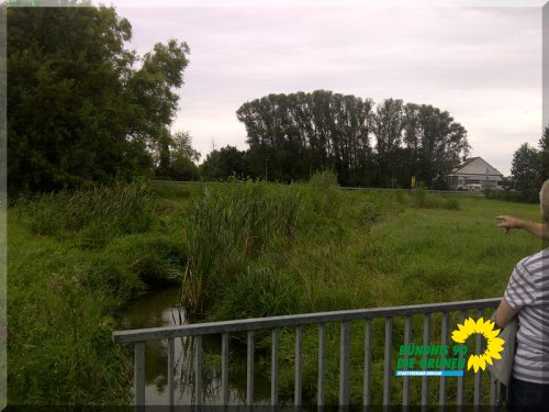 Grüne_IMG-20140828-01896.jpg