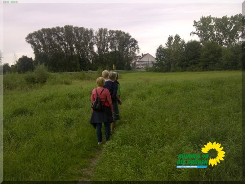 Grüne_IMG-20140828-01897.jpg