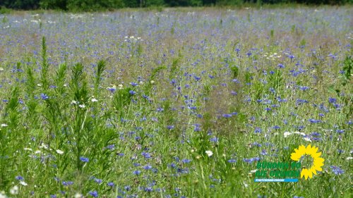 sonntag_p1210354