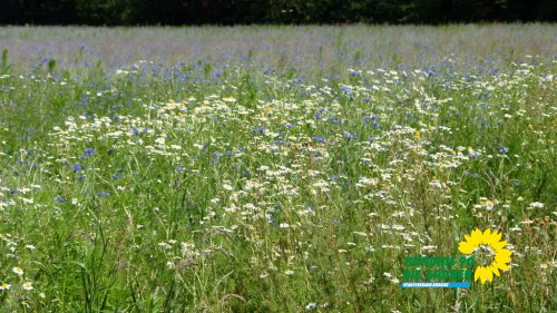 sonntag_p1210355