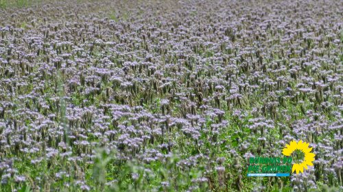 sonntag_p1210357