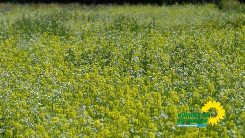 sonntag_p1210358
