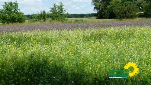 sonntag_p1210364