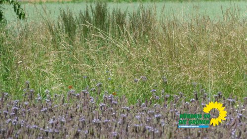sonntag_p1210365