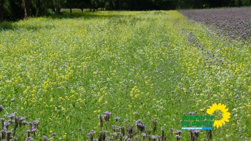sonntag_p1210367