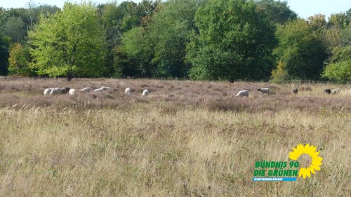 stadtradeln_2020_p1220837