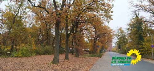 Wasserturm_IMG_20251109_130003.jpg