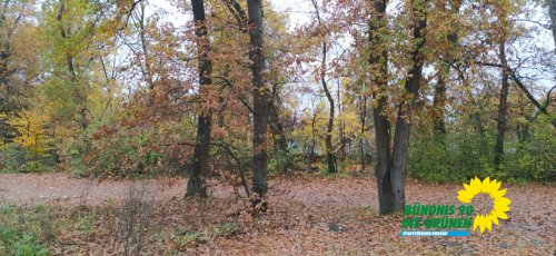 Wasserturm_IMG_20251109_131042.jpg