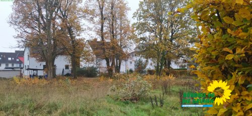 Wasserturm_IMG_20251109_133025.jpg