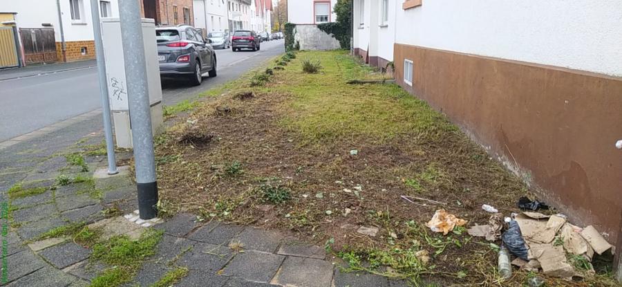 stadtentwicklung