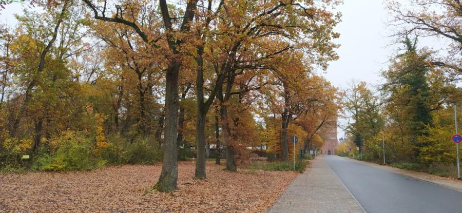 stadtentwicklung