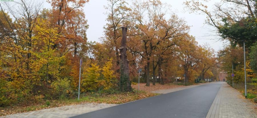 stadtentwicklung