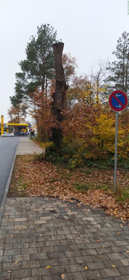 stadtentwicklung