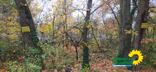 Wasserturm_IMG_20251109_131008.jpg