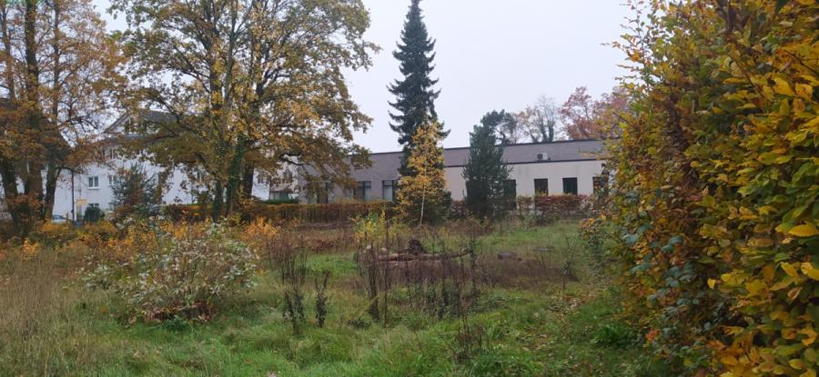 stadtentwicklung