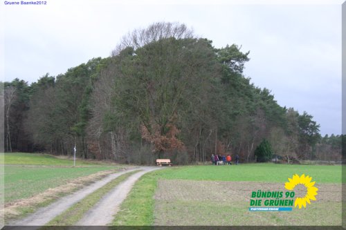 GrueneBaenkeIMG_2424.JPG