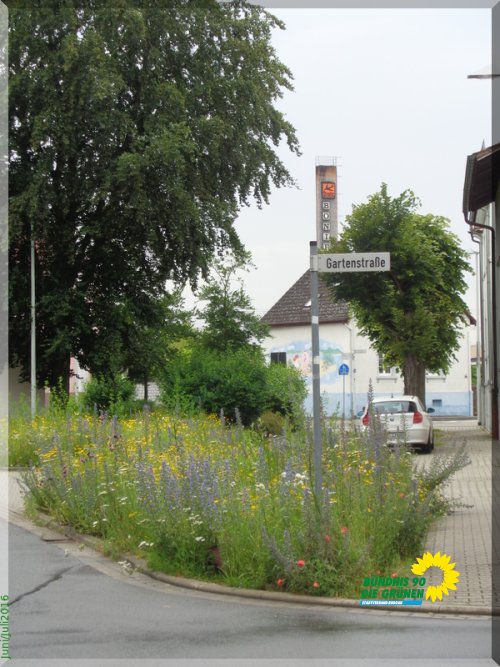 JuniJuli2016_DSC00170.JPG