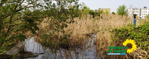 Finkensee-IMG_20240501_120309.jpg