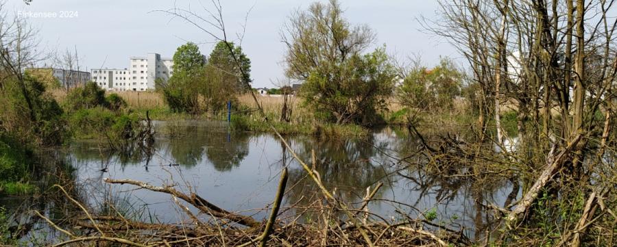 Finkensee