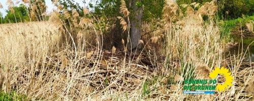 Finkensee-IMG_20240501_131706.jpg
