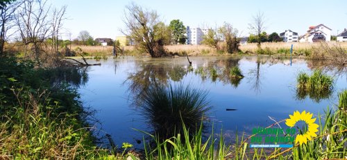 Finkensee_IMG_20250501_113311.jpg