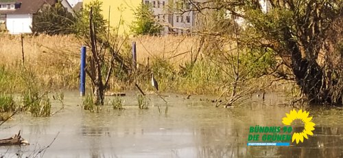 Finkensee_IMG_20250501_113747.jpg