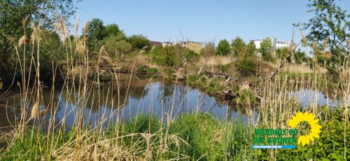 Finkensee_IMG_20250501_114547.jpg