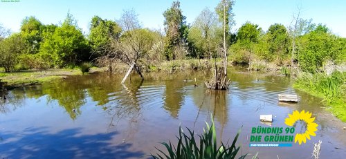 Finkensee_IMG_20250501_114646.jpg