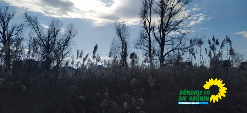 NabuRundgang_IMG_20250322_155054.jpg