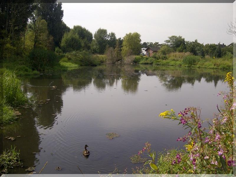 Finkensee im August 2014
