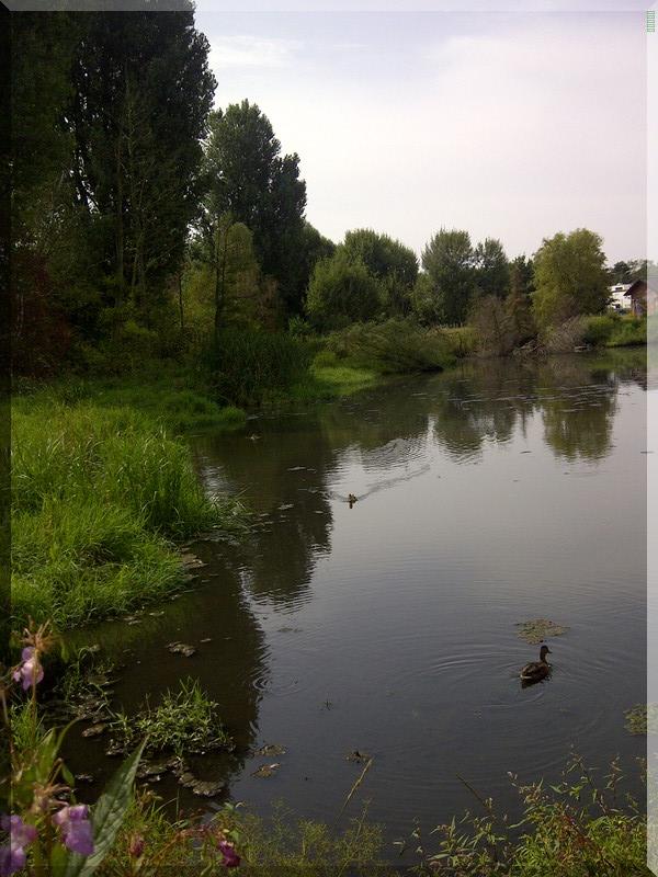 Finkensee im August 2014