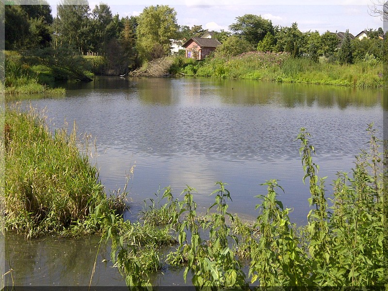 Finkensee im Juli 2014