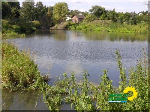 B_IMG-20120718-00095.jpg
