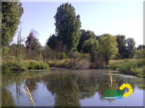 B_Rodgau-20130721-00869.jpg