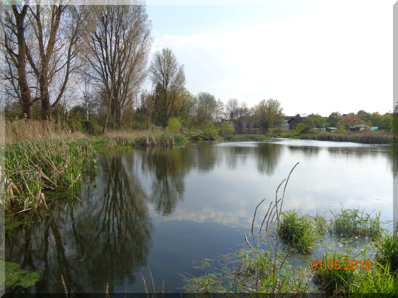 Finkensee2016