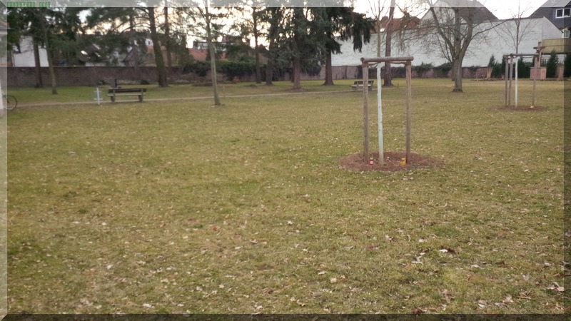 Friedhof Nieder-Roden