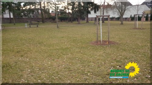 BB2015_IMG_20150315_162458_001