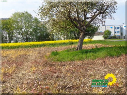 Bodenbearbeitung_DSC00015