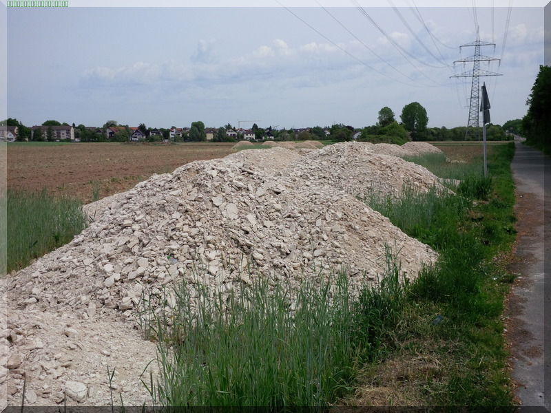 Landwirtschaft