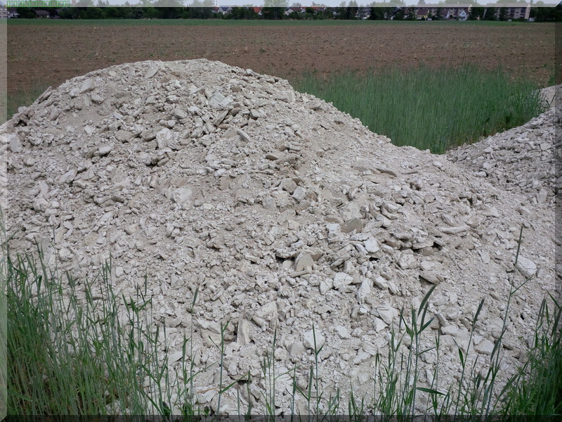 Landwirtschaft