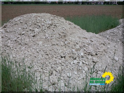 Landwirtschaft2015_IMG_20150512_124931.jpg