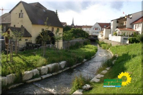 rodau_13_20091231_1765427792