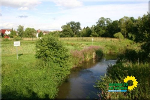 rodau_15_20091231_1426162812