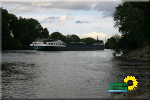 rodau_19_20091231_1653045762