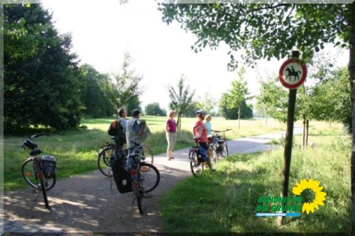 rodau_3_20091231_1534652559