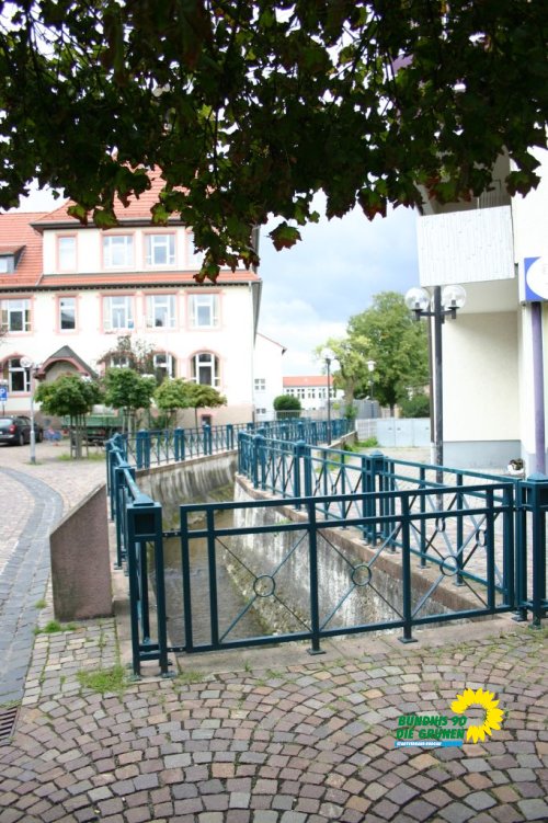 rodau-tour_von_weiskirchen_bis_zur_quelle_20100829_1557377982