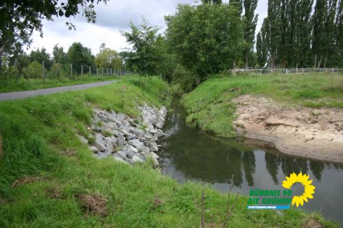 rodau_in_roedermark_20100829_1186539702