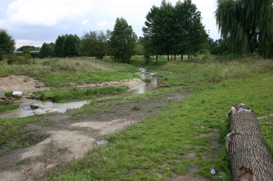 Rödermark Quelle (2010)