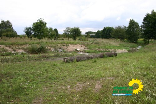 rodau_in_roedermark_20100829_1791639194