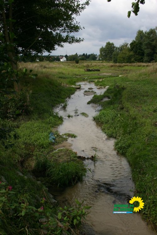 rodau_in_roedermark_20100829_1966781825